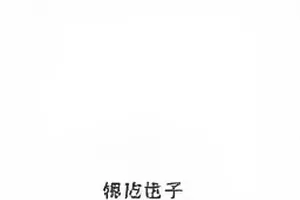 周末排练室状态稳定封面